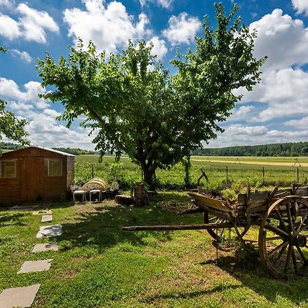 Domaine Du Bois Des Anges Bed & Breakfast Germigny-l'Eveque Екстериор снимка