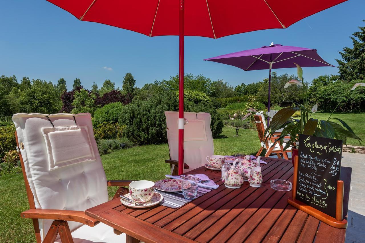 Domaine Du Bois Des Anges Bed & Breakfast Germigny-l'Eveque Екстериор снимка