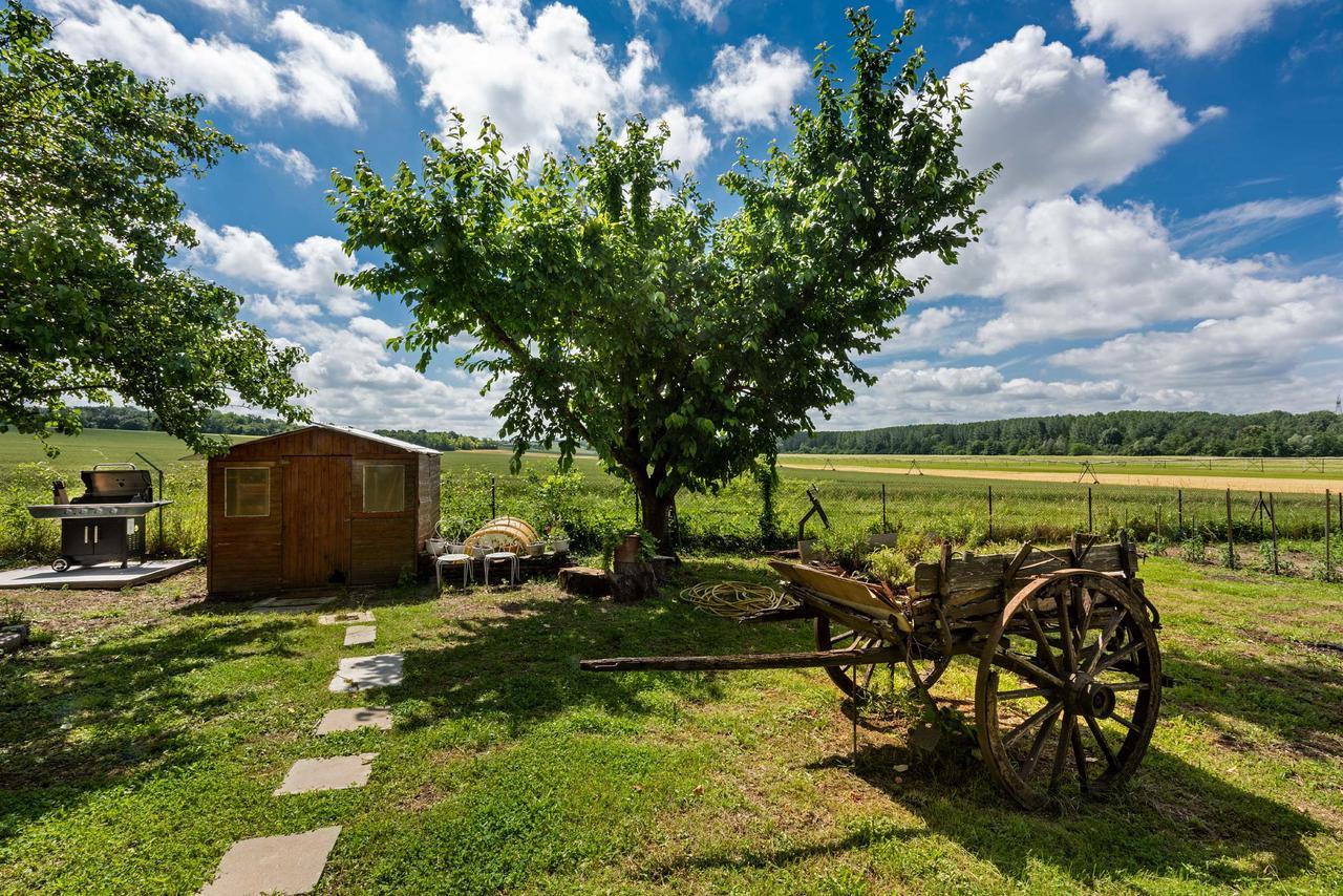 Domaine Du Bois Des Anges Bed & Breakfast Germigny-l'Eveque Екстериор снимка